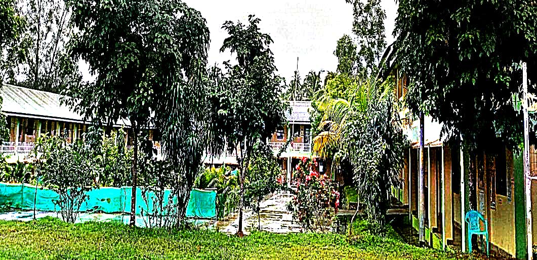 School Image