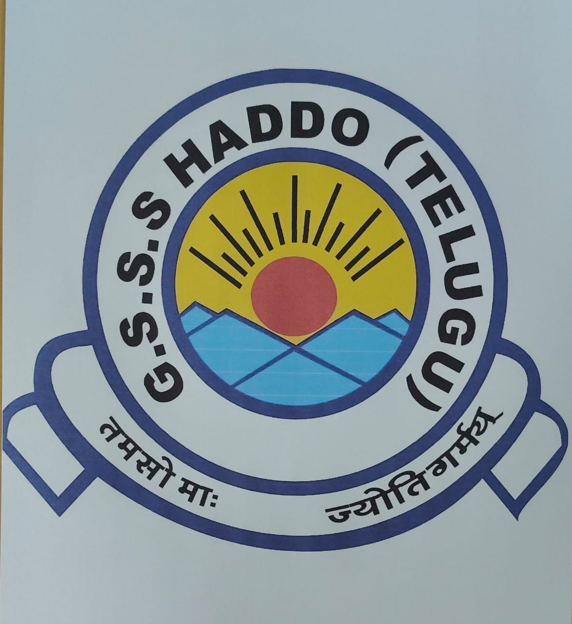 School Logo