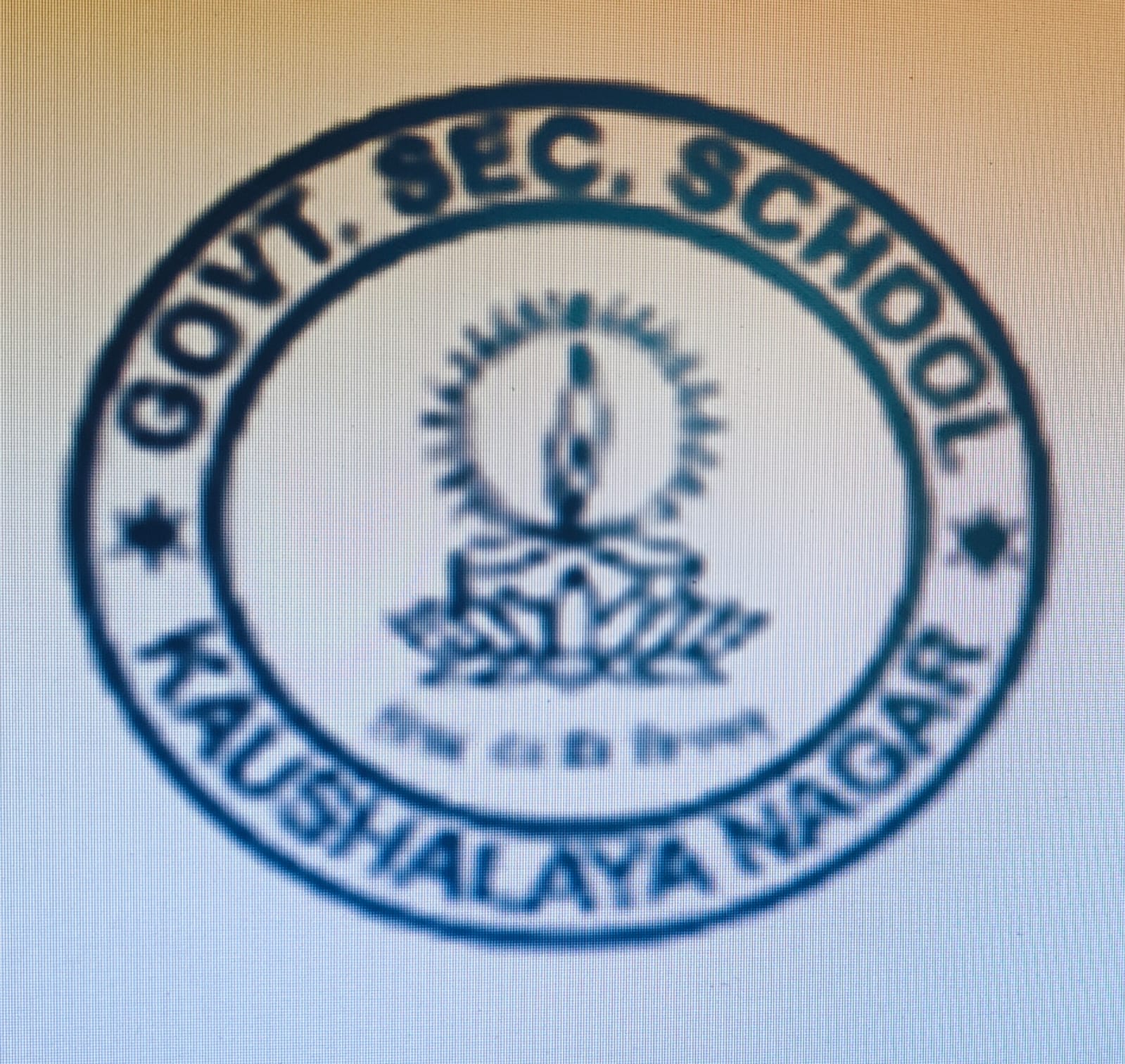 School Logo